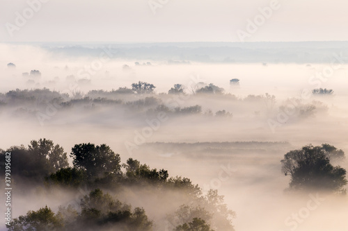 Morning foggy valley at sunrise, calm autumn landscape