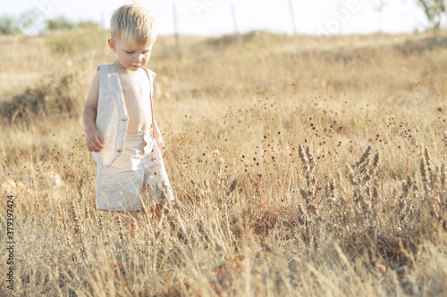 Child boy in nature, kid blond in a rustic style. High quality photo.