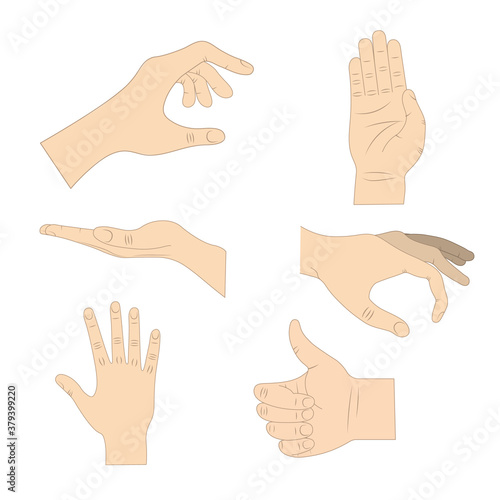Hand gestures in different positions. Palm pointing at something. Isolated flat vector illustration