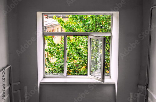 A new window with an open sash and the view of bright green foliage of the tree and the upper floors of the building.