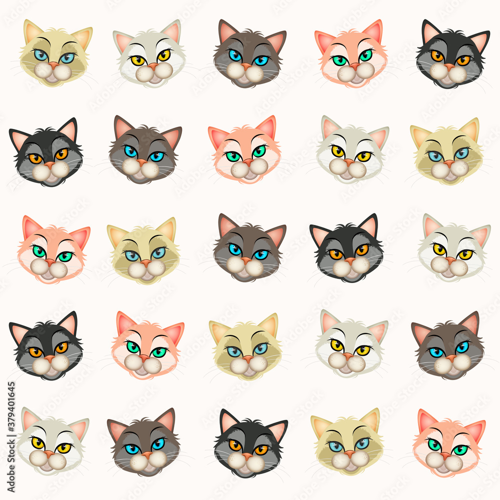 illustration of various faces of kittens illustration of various faces of kittens