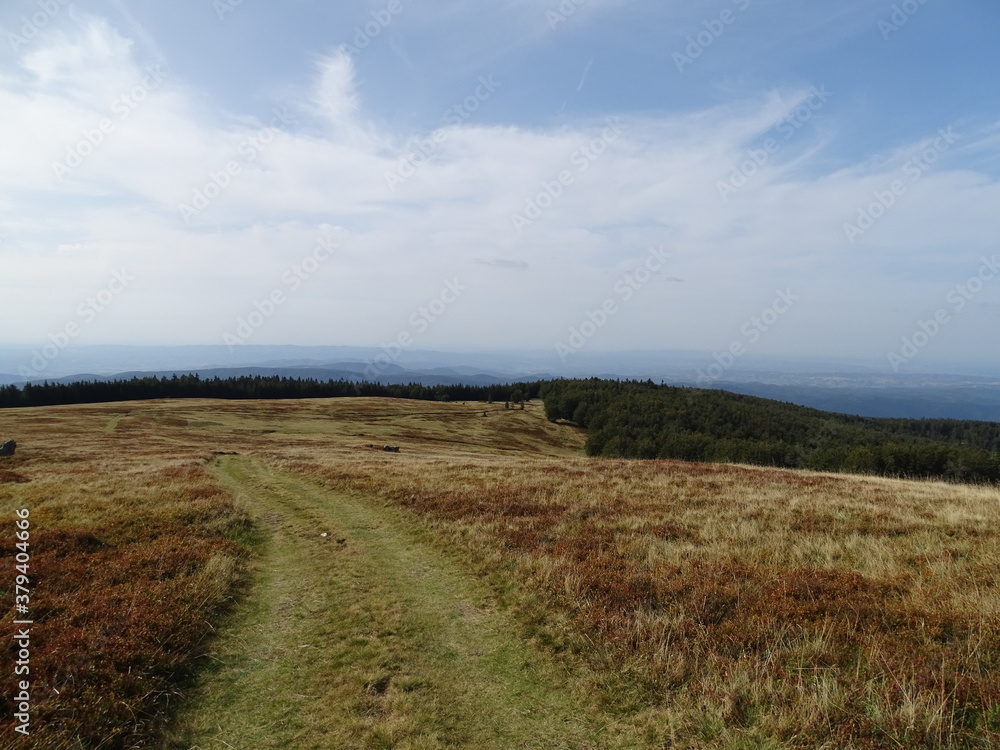 Fototapeta premium road to the sea