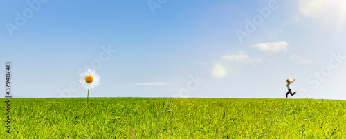 Gänseblümchen auf einer Wiese mit blauem ghimmel