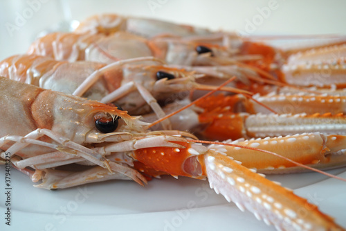 Quadro em tela Primo piano scampi crudi nel piatto