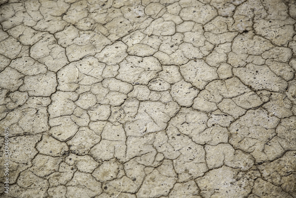 Dry and cracked earth Dry and cracked earth
