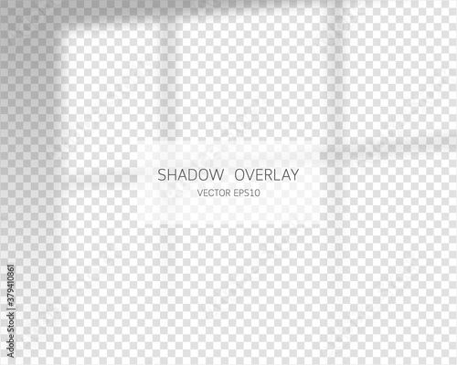 Shadow overlay effect. Natural shadows from window isolated on transparent background. Vector illustration. 