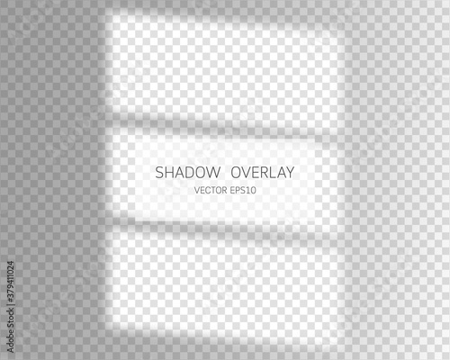 Shadow overlay effect. Natural shadows from window isolated on transparent background. Vector illustration. 