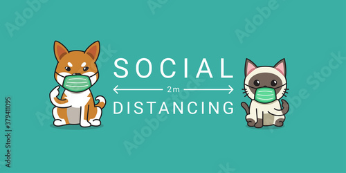 Covid-19 protection concept cat and dog wearing protective face mask social distancing for design.