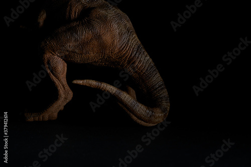 Détails de dinosaure dans la pénombre
