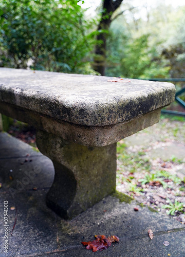 Stone bench in forest garden