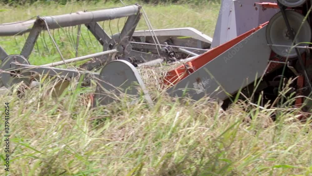 Farmer operating a Rice Harvester machine paddy field in rural village in Sri Lanka Middle of the sunny and hot day Farmer operating a Rice Harvester machine paddy field in rural village in Sri Lanka Middle of the sunny and hot day