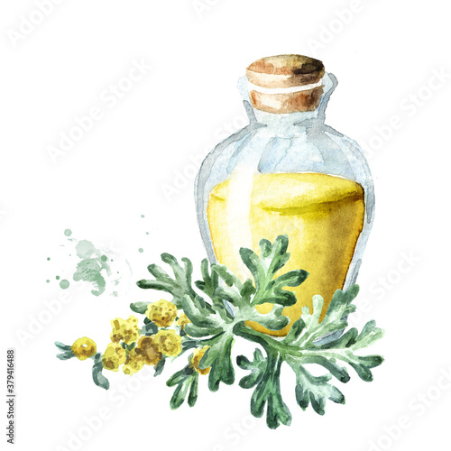Sprig of medicinal plant wormwood and essential oil, Hand drawn watercolor illustration isolated on white background