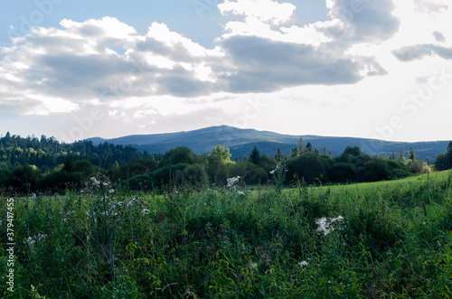 Bieszczady Panorama 