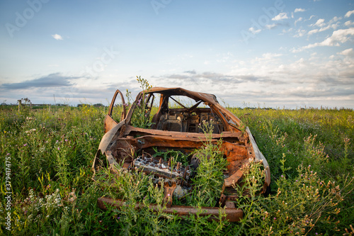 A burned four door automibile abandoned in tall summer foliage in a countryside landscape photo