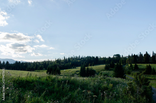 Fototapeta Naklejka Na Ścianę i Meble -  Bieszczady panorama