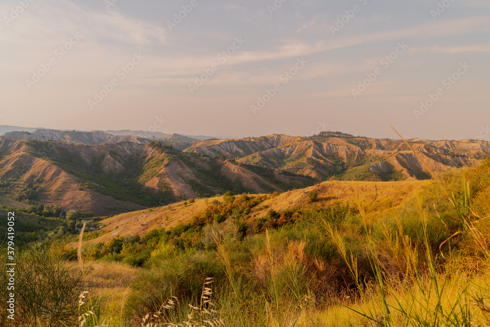 Fototapeta premium Landscape