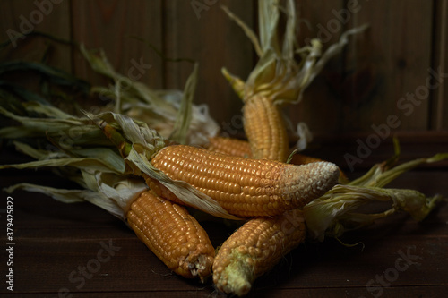 
Harvest corn on wooden background