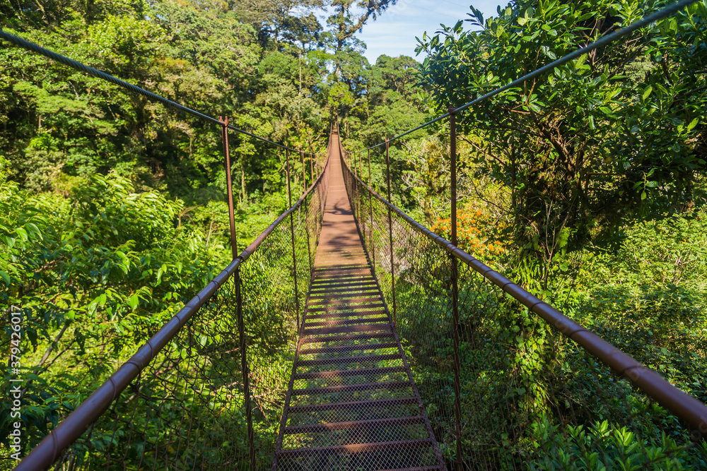 Obraz premium Hanging bridge in Panama