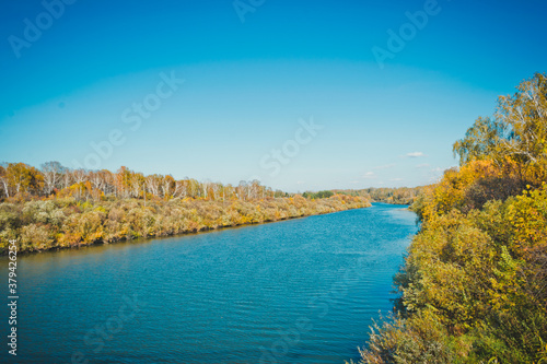 The river surrounded by trees 