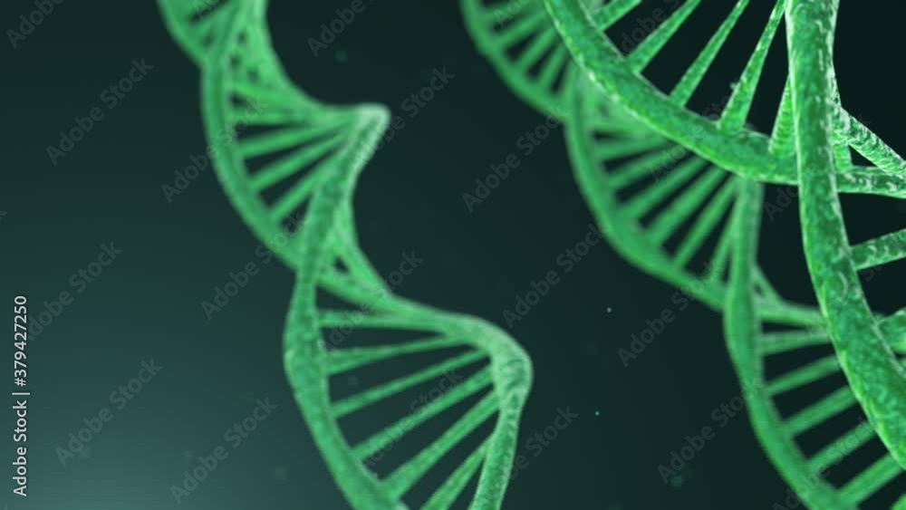3D rendered animation of rotating DNA molecule on light green background. 3D rendered animation of rotating DNA molecule on light green background.
