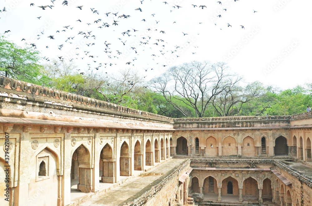Obraz premium stepwell of jamli kamli delhi