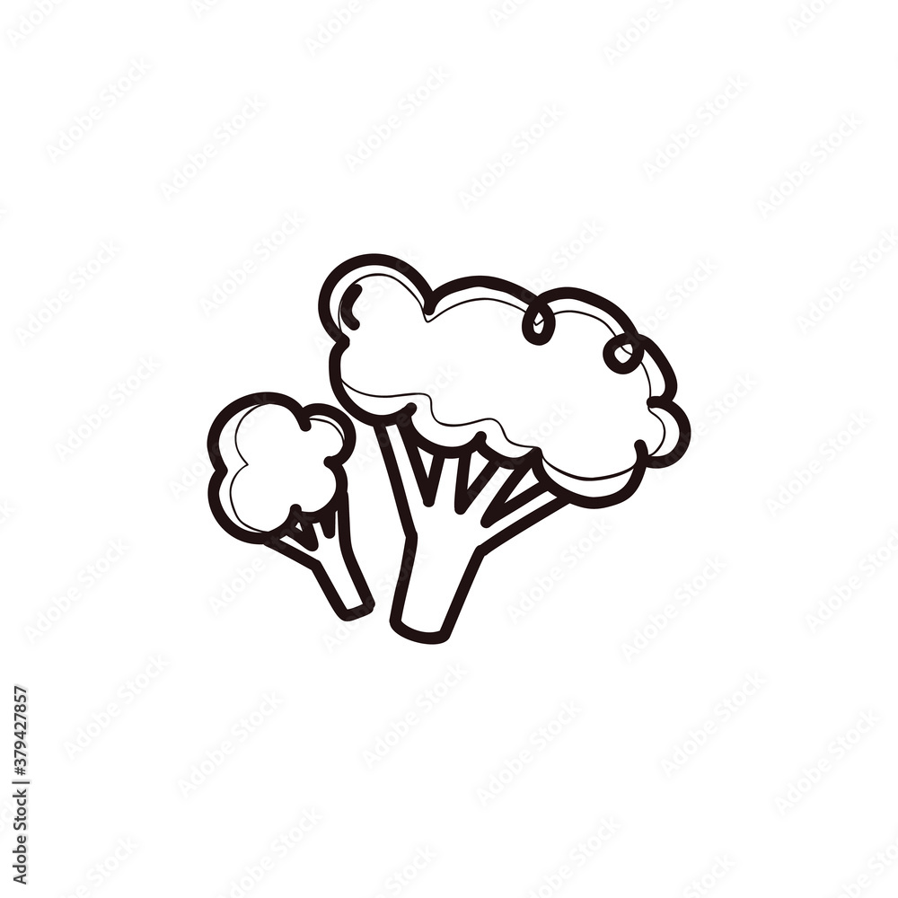 Broccoli or cauliflower. A healthy vegetable. Linear doodle style. Weight loss and nutrition concept. All elements are isolated on a white background. Vector. For print and web. Broccoli or cauliflower. A healthy vegetable. Linear doodle style. Weight loss and nutrition concept. All elements are isolated on a white background. Vector. For print and web.