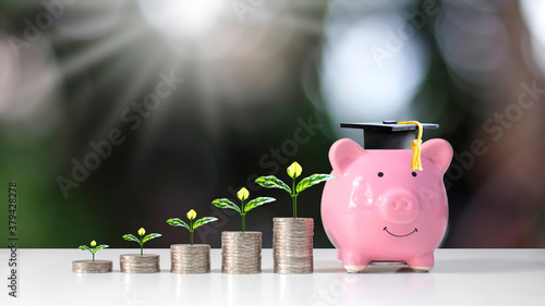 Fotografi Growing plant on coin pile and graduate hat placed on piggy bank on blurred green nature background education and finance concept