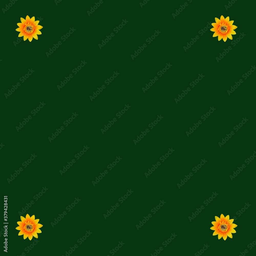 Flowers neatly arranged, isolated on background and with space for writing