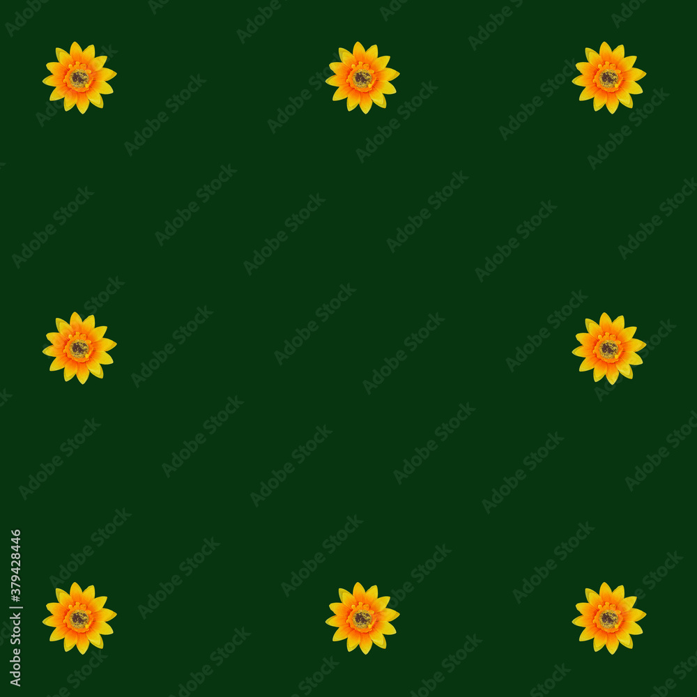 Flowers neatly arranged, isolated on background and with space for writing