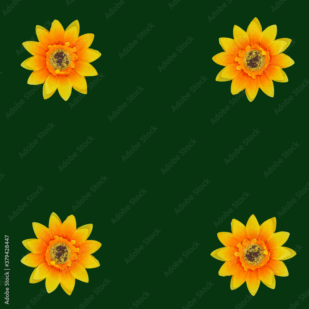 Flowers neatly arranged, isolated on background and with space for writing