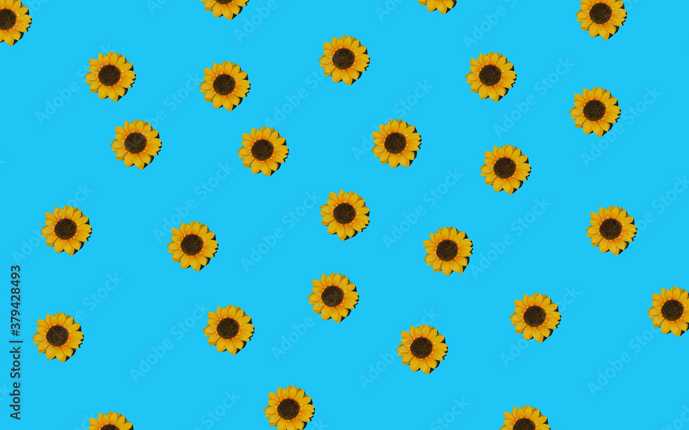 Flowers neatly arranged, isolated on background and with space for writing