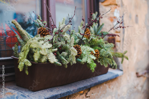 pines decoration in the street in city