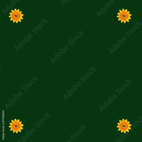 Obraz na płótnie Flowers neatly arranged, isolated on background and with space for writing w salonie