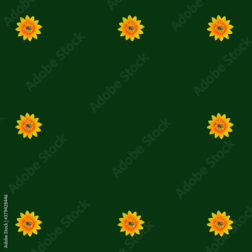 Obraz na płótnie Flowers neatly arranged, isolated on background and with space for writing w salonie