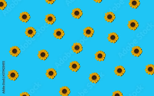Obraz na płótnie Flowers neatly arranged, isolated on background and with space for writing w salonie
