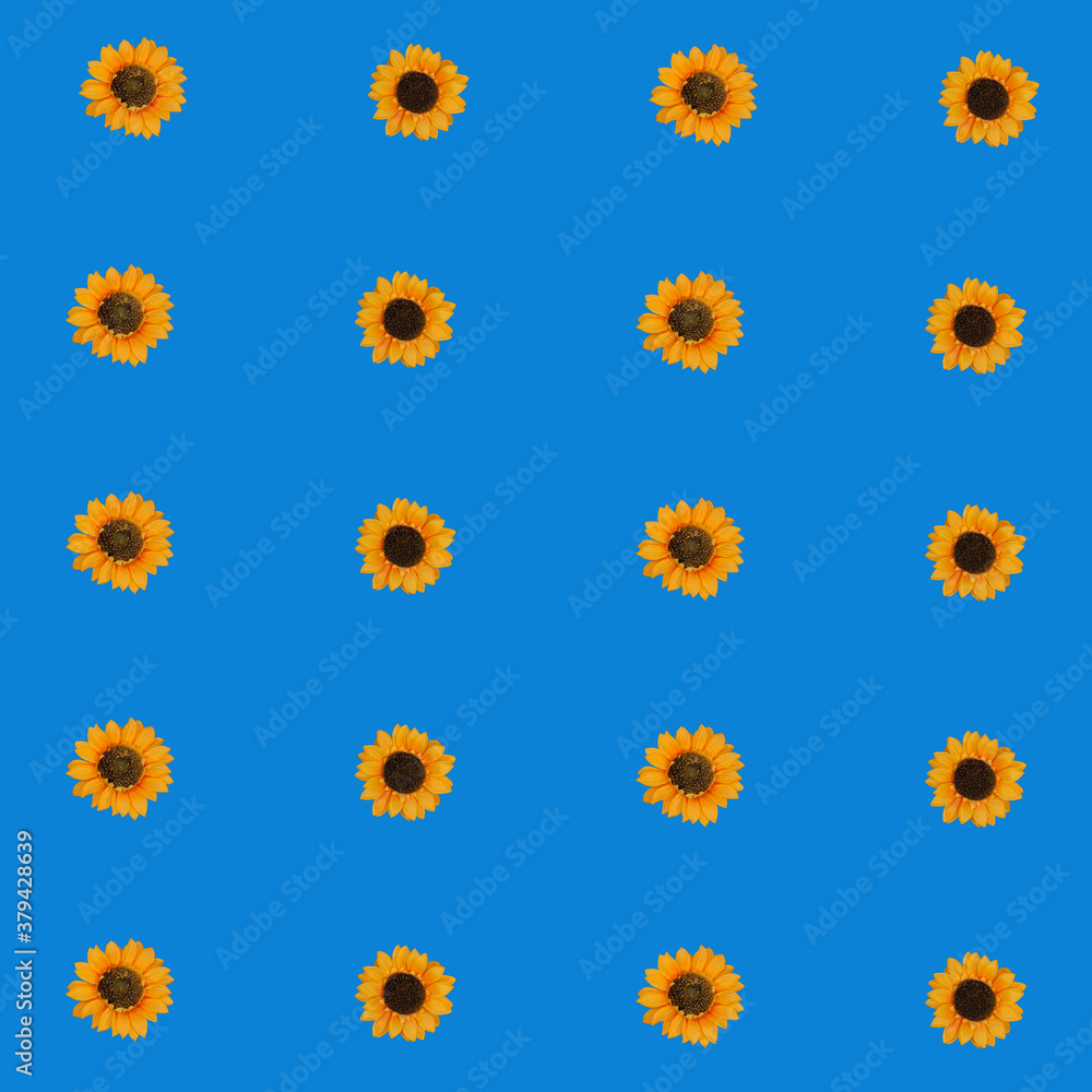 Flowers neatly arranged, isolated on background and with space for writing