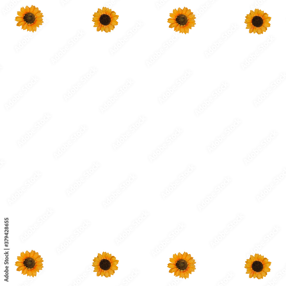 Flowers neatly arranged, isolated on background and with space for writing