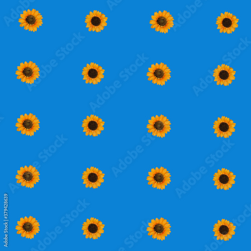 Obraz na płótnie Flowers neatly arranged, isolated on background and with space for writing w salonie