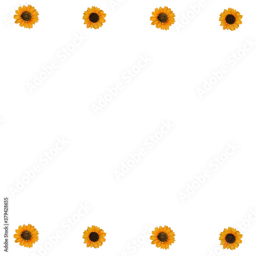Obraz na płótnie Flowers neatly arranged, isolated on background and with space for writing w salonie