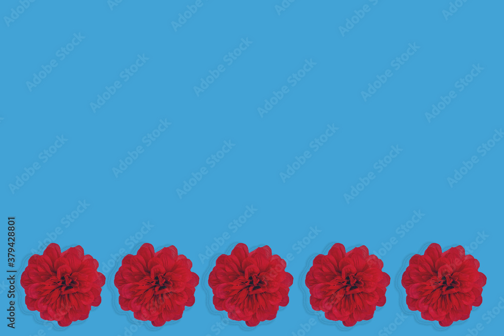 Flowers neatly arranged, isolated on background and with space for writing