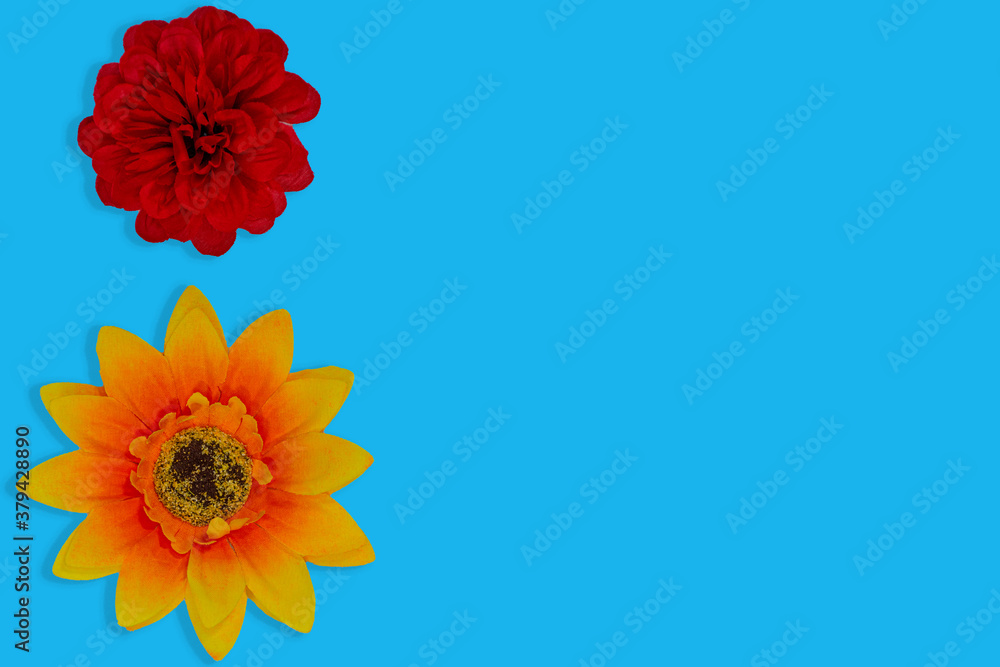Flowers neatly arranged, isolated on background and with space for writing