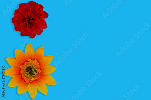 Flowers neatly arranged, isolated on background and with space for writing