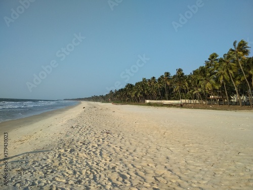 a walk on the beach with palm trees