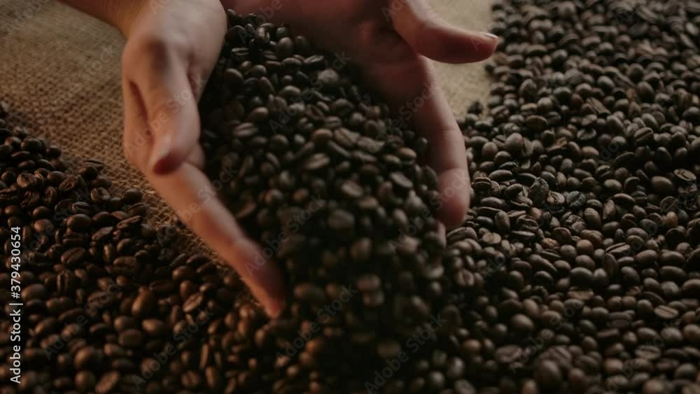 Showing of roasted coffee beans. Textured background with coffee grains and jute. Female hands raking beans in slow motion Showing of roasted coffee beans. Textured background with coffee grains and jute. Female hands raking beans in slow motion