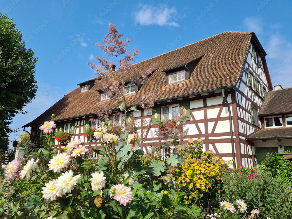 fachwerkhaus mit bauerngarten in einem dorf fachwerkhaus mit bauerngarten in einem dorf