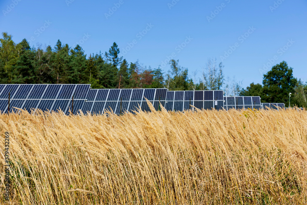 Detail of the Solar Power Station in the late summer Nature