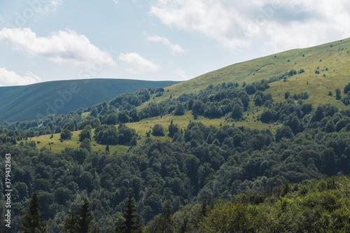 scenic Carpathians mountains and hills in the nice weather in summer