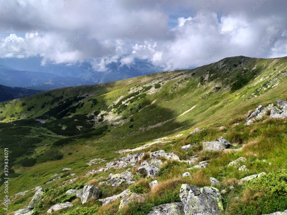 Fototapeta premium landscape with sky