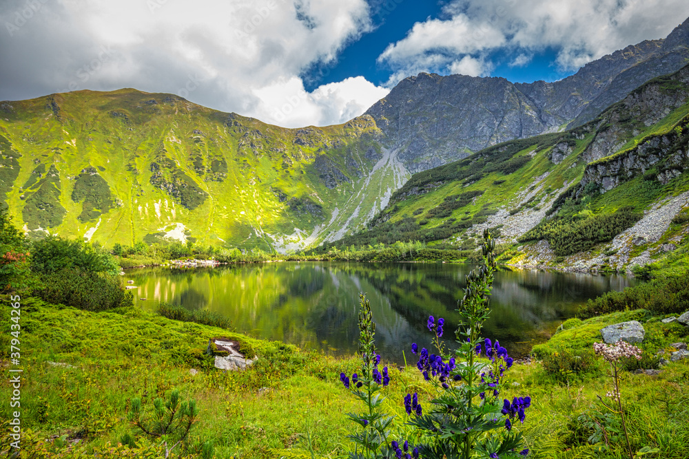 Mountain lake with flowers in foreground in Rohace area of the Tatra National Park, Slovakia, Europe.