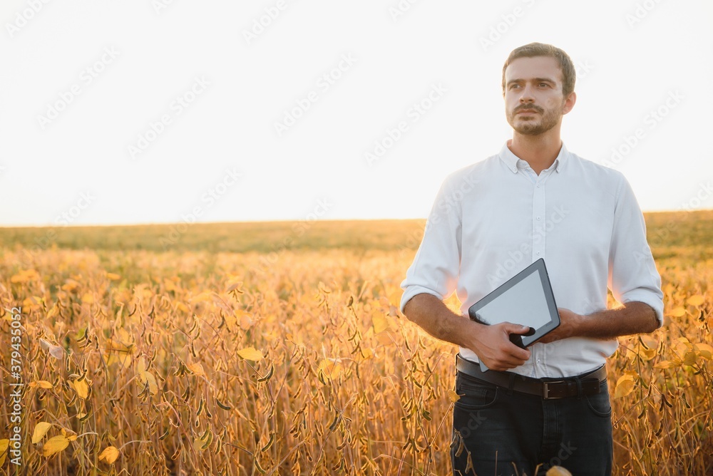 Young farmer in soybean fields Young farmer in soybean fields